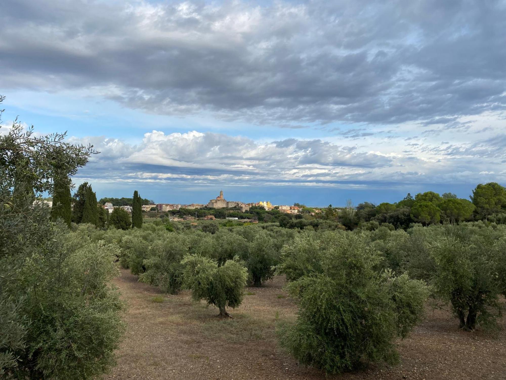 Lo Tros Villa Botarell ภายนอก รูปภาพ