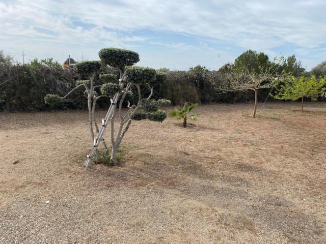 Lo Tros Villa Botarell ภายนอก รูปภาพ